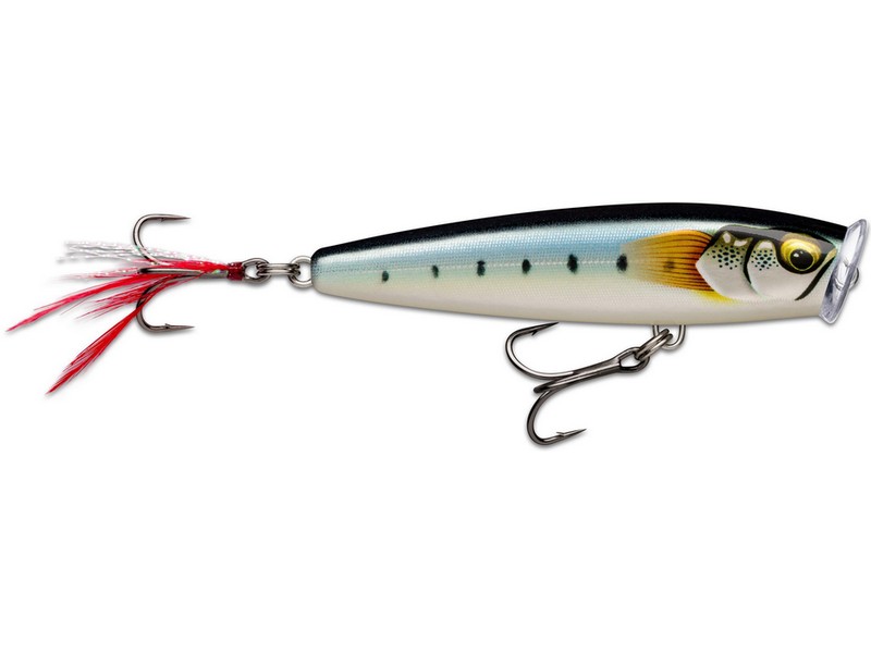 Skitter Pop Elite GDMI