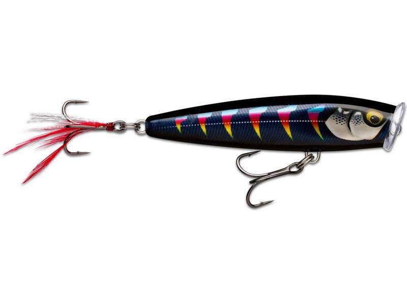 Skitter Pop Elite GDNIA